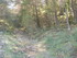 PERLE DU HAUT VAR