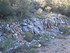 PERLE DU HAUT VAR