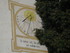 C COMME CADAQUES (2) - ESPAGNE