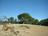 S COMME SIGEAN (2) - AUDE - FR