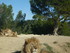 S COMME SIGEAN (2) - AUDE - FR