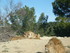 S COMME SIGEAN (2) - AUDE - FR