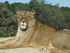 S COMME SIGEAN (2) - AUDE - FR