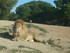 S COMME SIGEAN (2) - AUDE - FR