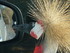 S COMME SIGEAN (2) - AUDE - FR