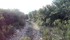 TERRE D'AIGUIERS