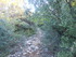 TERRE D'AIGUIERS