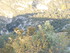 TERRE D'AIGUIERS