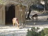 S COMME SIGEAN (3) - AUDE - FR