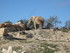 S COMME SIGEAN (3) - AUDE - FR