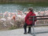 S COMME SIGEAN (4) - AUDE - FR