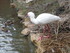S COMME SIGEAN (4) - AUDE - FR