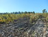 DES VIGNES À LA MER