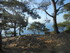 DES VIGNES À LA MER
