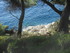 DES VIGNES À LA MER