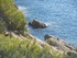 DES VIGNES À LA MER