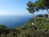 DES VIGNES À LA MER