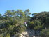DES VIGNES À LA MER