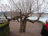 H COMME HENDAYE (2) - PYRENEES