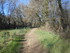 DE LA LUYNES AU MUR DE GUEIDAN