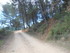 DE LA LUYNES AU MUR DE GUEIDAN