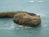 B COMME BIARRITZ (2) - PYRENEE