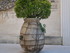 A COMME ARLES - BOUCHES DU RH�