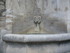 T COMME TAULIGNAN (2) - DROME 