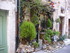 V COMME VENCE (2) - ALPES MARI