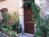 V COMME VENCE (2) - ALPES MARI