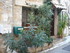 V COMME VENCE (2) - ALPES MARI