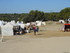 LES MEDIEVALES DE MIRAMAS LE V