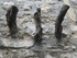 V COMME VENCE (3) - ALPES MARI