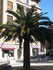 V COMME VENCE (4) - ALPES MARI