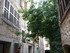 V COMME VENCE (6) - ALPES MARI