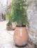 T COMME TOURETTES SUR LOUP - A