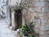 T COMME TOURETTES SUR LOUP - A