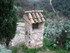 T COMME TOURETTES SUR LOUP (2)