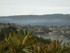 T COMME TOURETTES SUR LOUP (2)