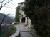 T COMME TOURETTES SUR LOUP (2)