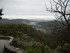 T COMME TOURETTES SUR LOUP (2)