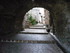 T COMME TOURETTES SUR LOUP (2)