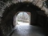 T COMME TOURETTES SUR LOUP (2)