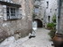T COMME TOURETTES SUR LOUP (2)