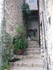 T COMME TOURETTES SUR LOUP (2)