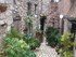 T COMME TOURETTES SUR LOUP (2)