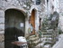 T COMME TOURETTES SUR LOUP (2)