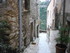 T COMME TOURETTES SUR LOUP (2)