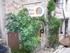T COMME TOURETTES SUR LOUP (2)