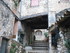 T COMME TOURETTES SUR LOUP (2)